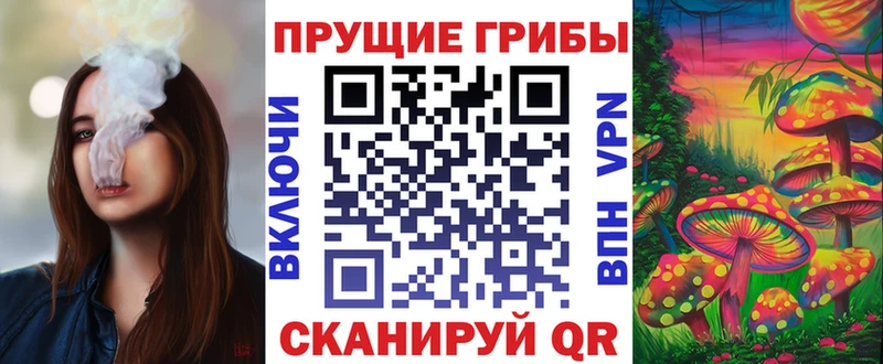 Купить  Нолинск  Галлюциногенные грибы прущие грибы 