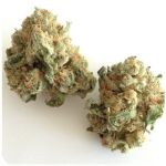 Шишки "White Widow"  (Белая вдова)  Гидропоника -  Бошка VHQ в Нолинске